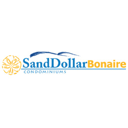 Sand-Dollar-Bonaire-2