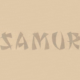 samur-logo