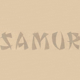 samur-logo