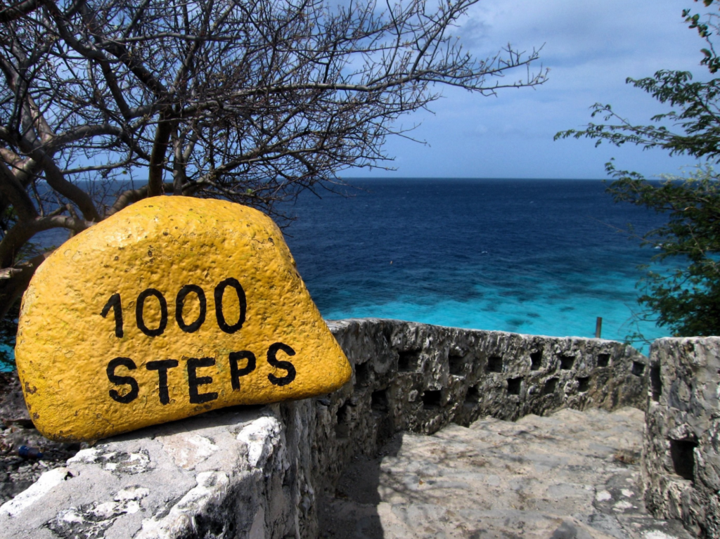 BONHATA Tourism Update: Performance 2025 & Outlook 2026